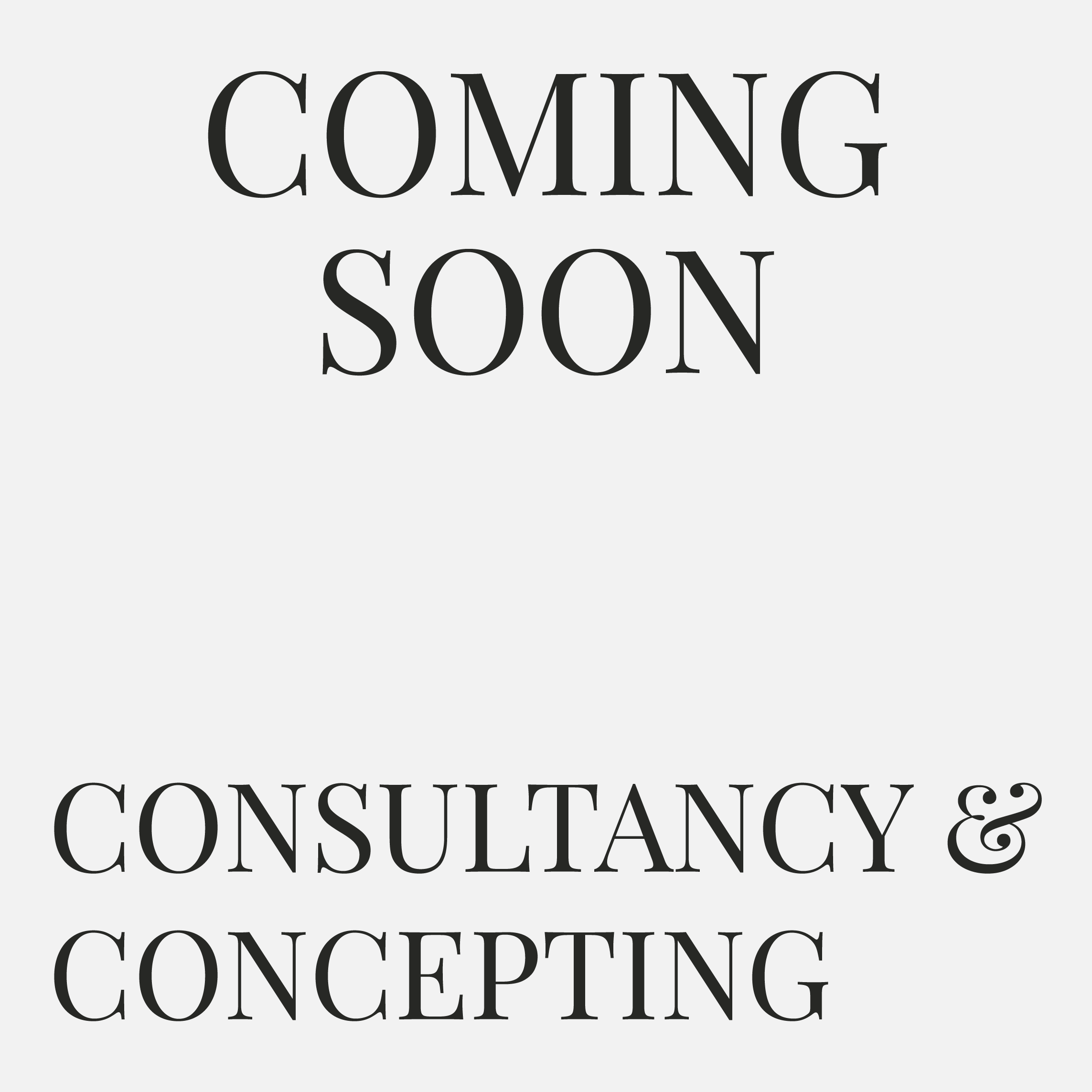 Consultancy Concepting